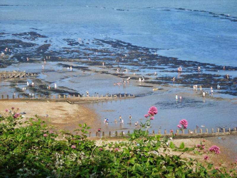Eastbourne Riviera Hotel Ngoại thất bức ảnh